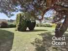 Estate Agents Picture 1