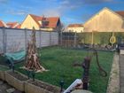 Estate Agents Picture 2