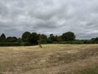 Estate Agents Picture 2