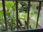 Estate Agents Picture 1