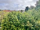 Estate Agents Picture 2