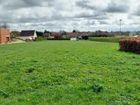 Estate Agents Picture 2