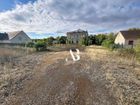 Estate Agents Picture 2