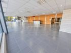 Estate Agents Picture 2