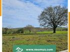 Estate Agents Picture 3