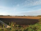 Estate Agents Picture 3