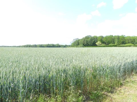 Première photo du bien