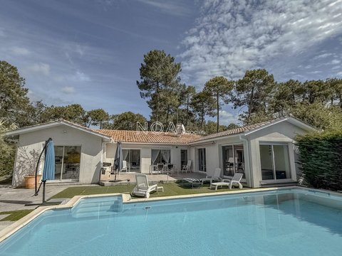 Première photo du bien