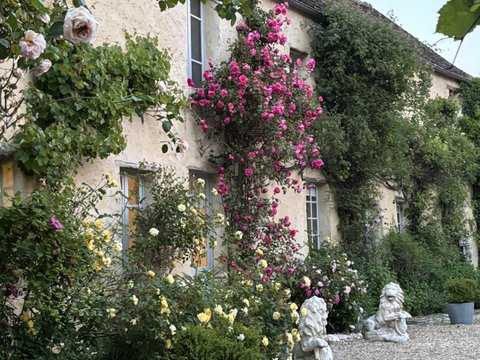 Première photo du bien