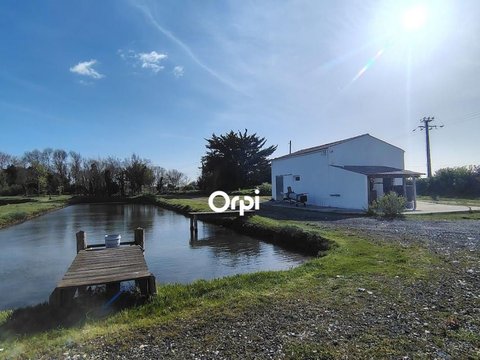 Première photo du bien