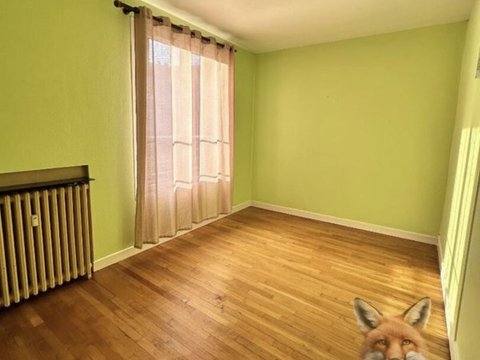 Première photo du bien