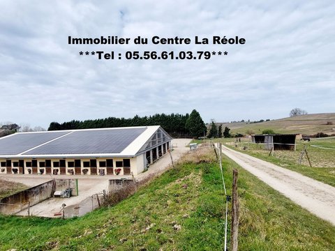 Première photo du bien