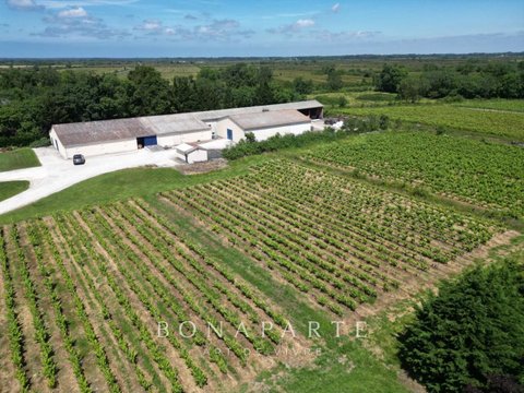Première photo du bien