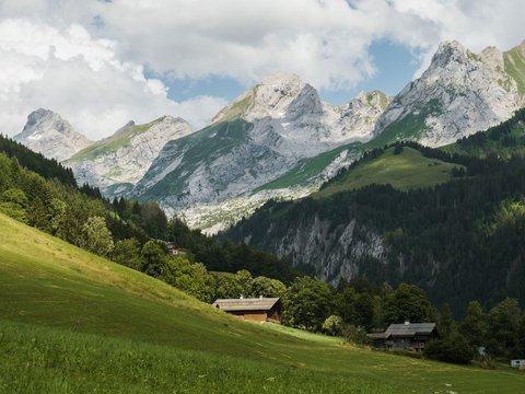 Première photo du bien