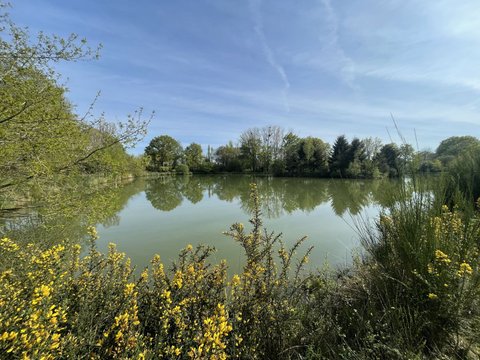 Première photo du bien