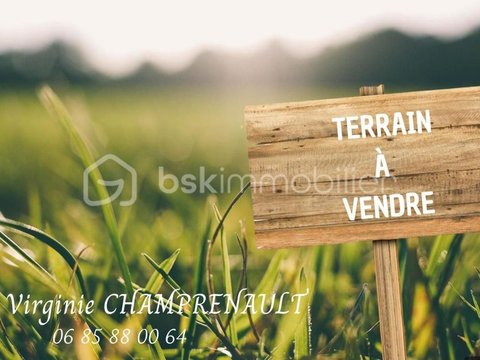 Première photo du bien
