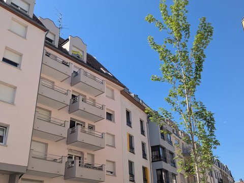 Première photo du bien