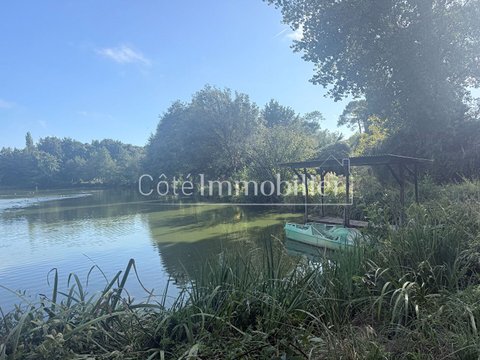 Première photo du bien