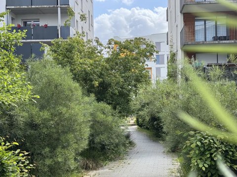 Première photo du bien