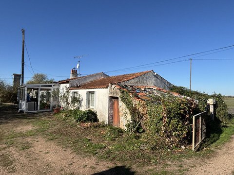 Première photo du bien