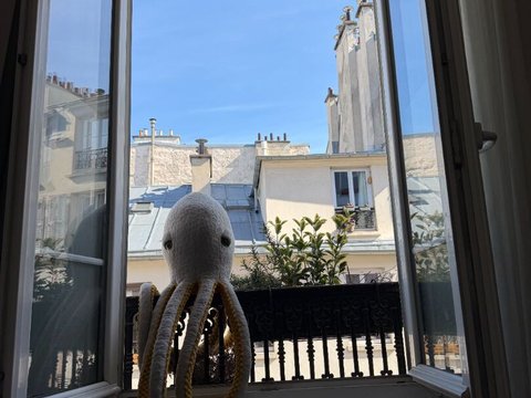 Première photo du bien