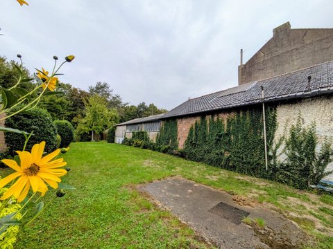 Première photo du bien