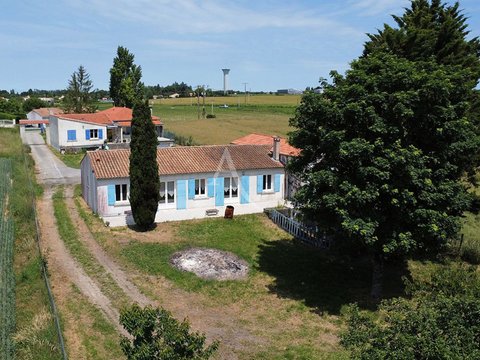 Première photo du bien