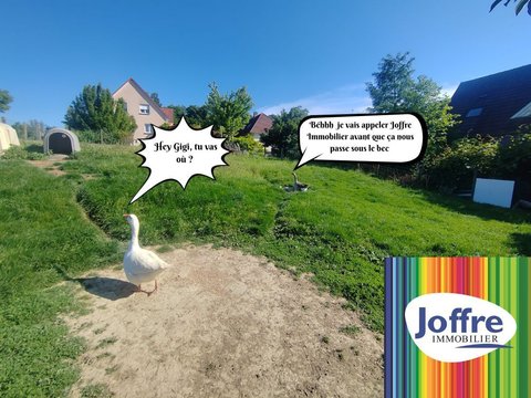 Première photo du bien