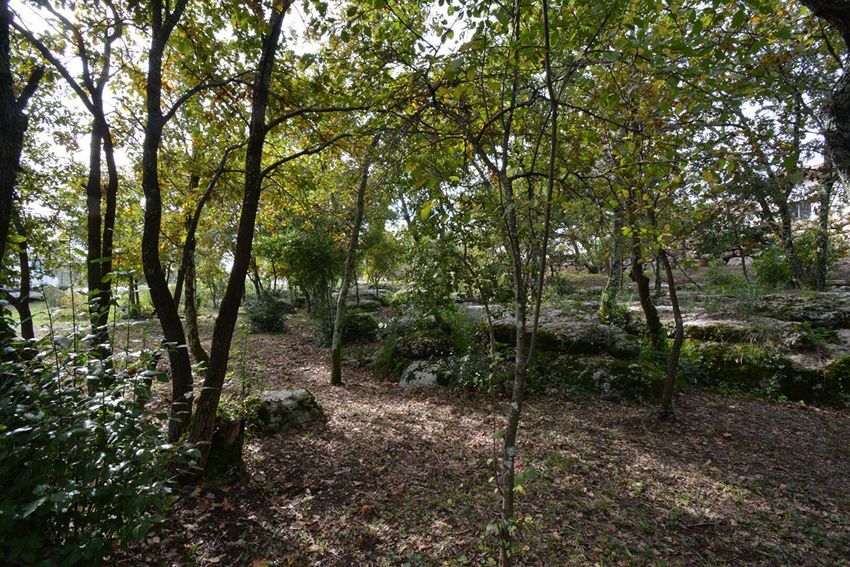 Image de terrain à Vertou