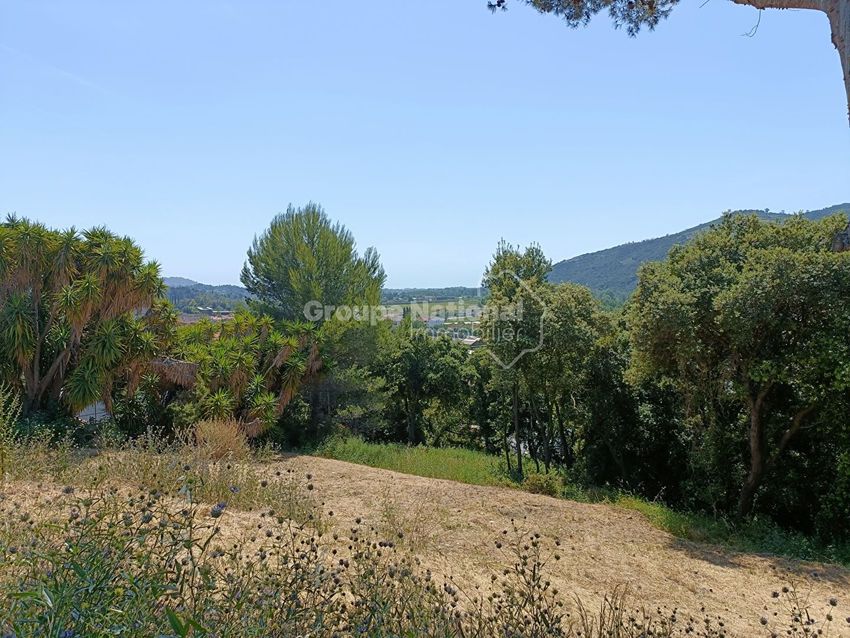 Image de terrain à Pégomas