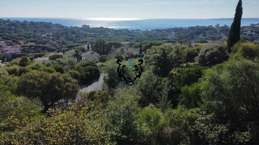 Image de terrain à Roquebrune-sur-Argens