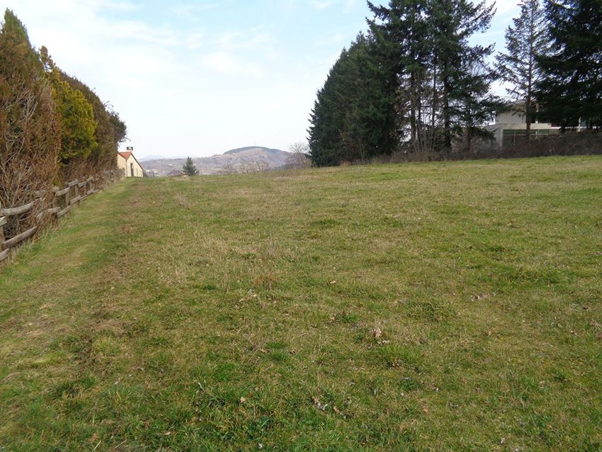 Image de terrain à Sanssac-l'Église
