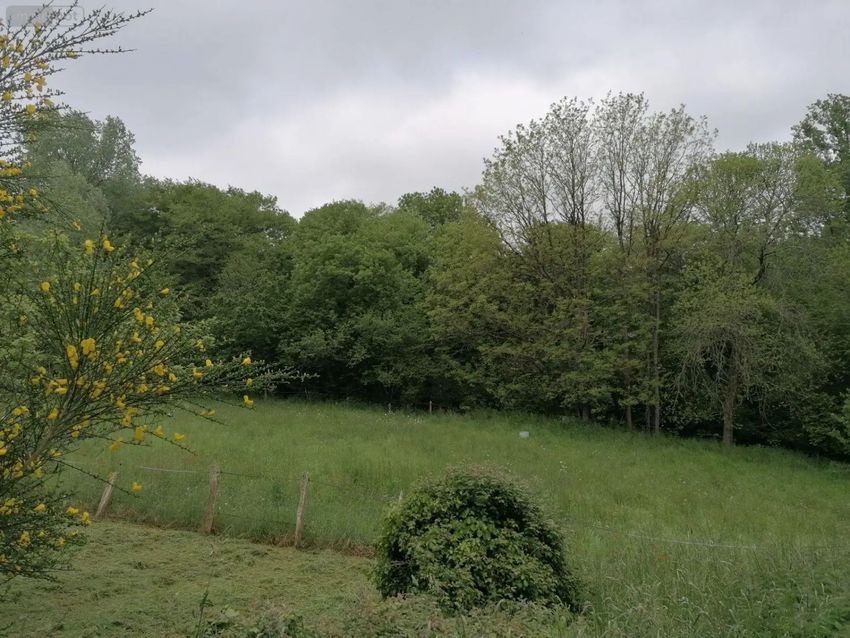 Image de terrain à Saint-Thurial