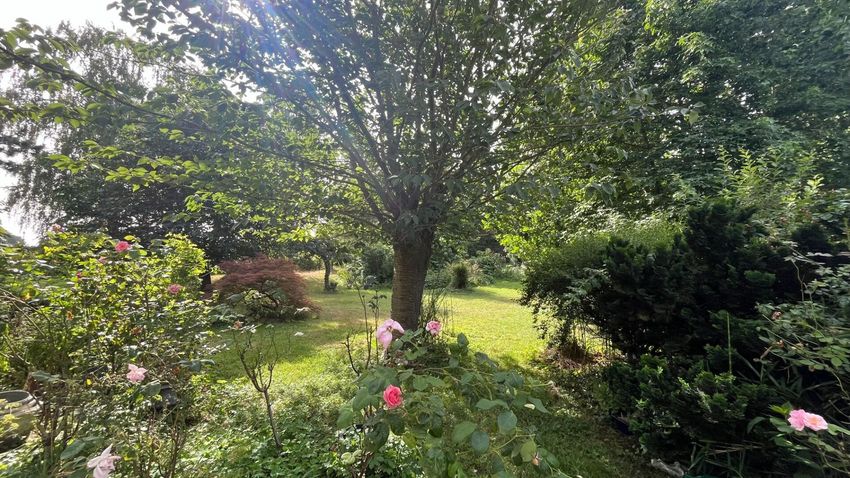 Image Jardin à  maison individuelle de Erquinghem-le-Sec