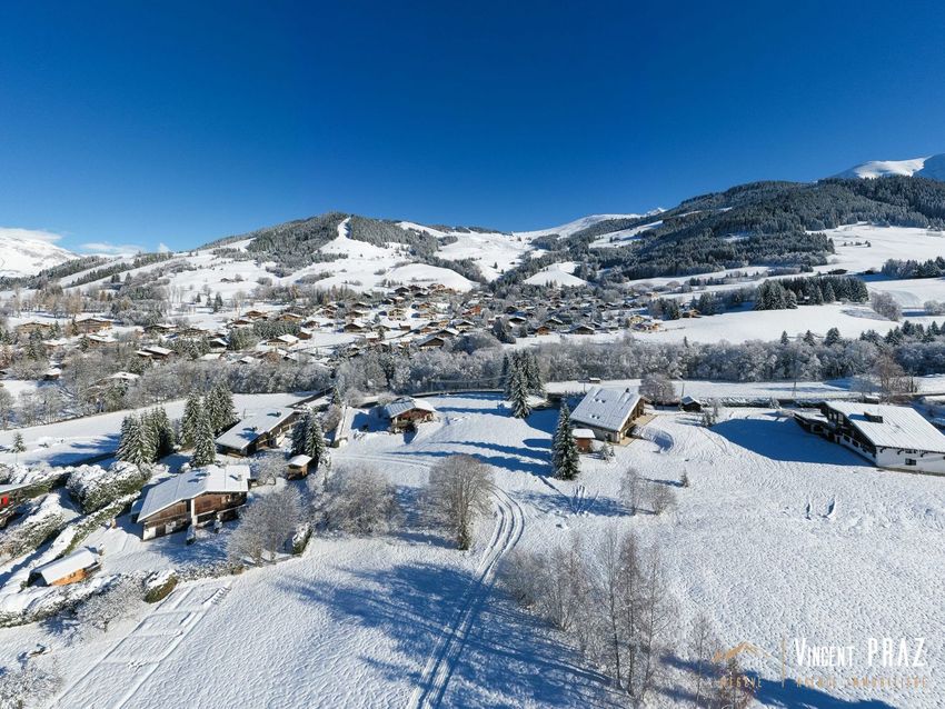 Image Vue à terrain de Megève