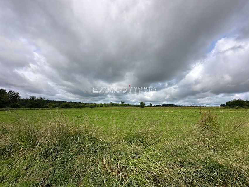 Image de terrain à Montville