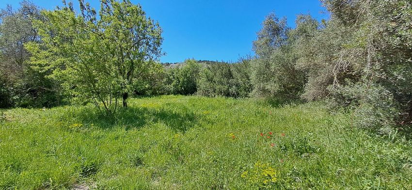 Image de terrain à Villeneuve-lès-Avignon
