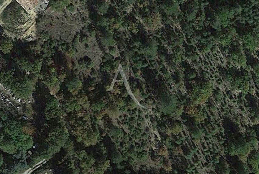Image de terrain à Roumoules