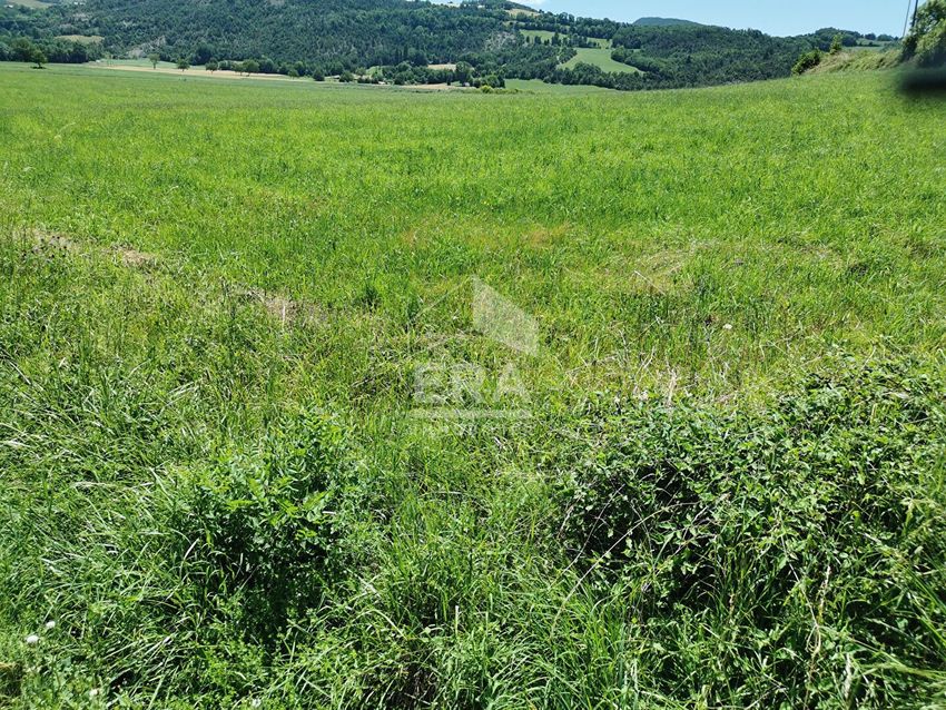 Image de terrain à La Bâtie-Neuve