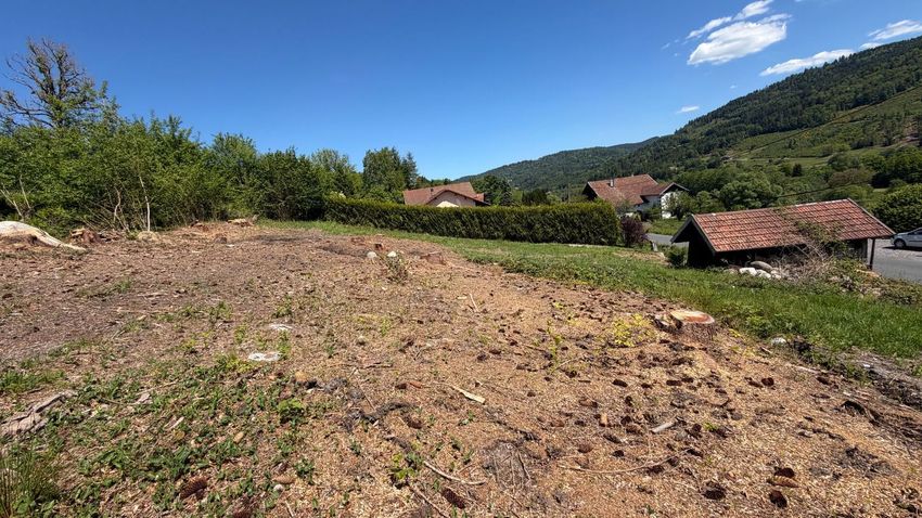 Image de terrain à La Forge