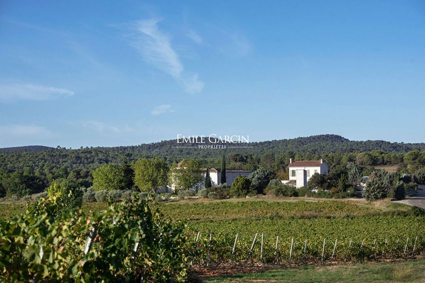Image Vue à  exploitation viticole / vignoble de Pierrevert
