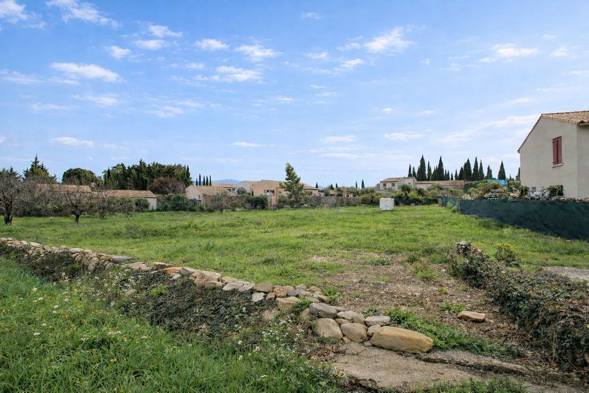 Image de terrain à Caunes-Minervois