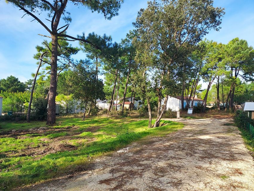 Image de terrain à Saint-Georges-d'Oléron