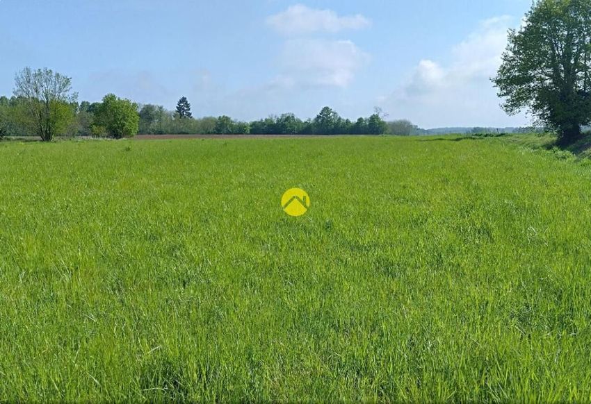 Image de terrain à Moulins-sur-Céphons