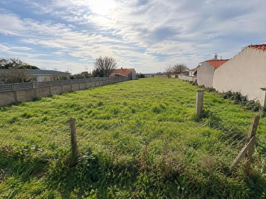 Image de terrain à Bourcefranc-le-Chapus
