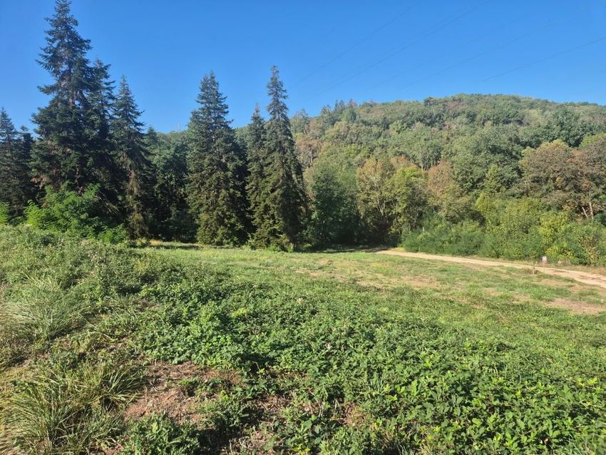 Image de terrain à Cublac