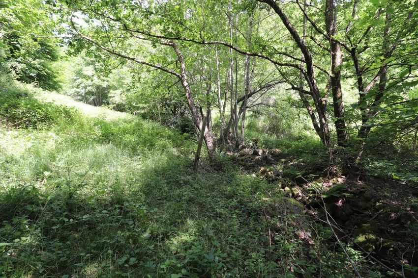 Image de terrain à Linthal