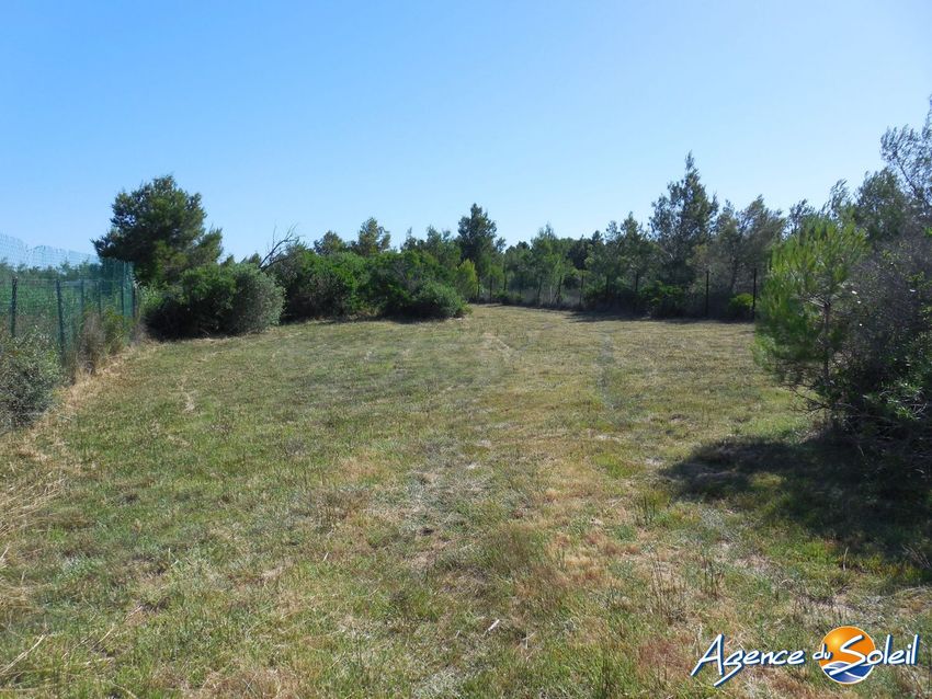 Image de terrain à Port-la-Nouvelle