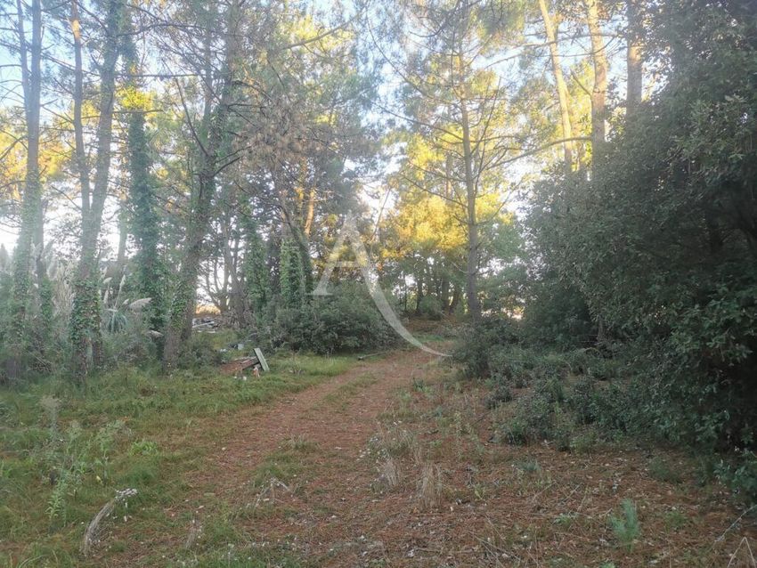 Image de terrain à Saint-Jean-de-Monts