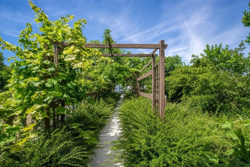 Image Jardin à  maison individuelle de Meaux